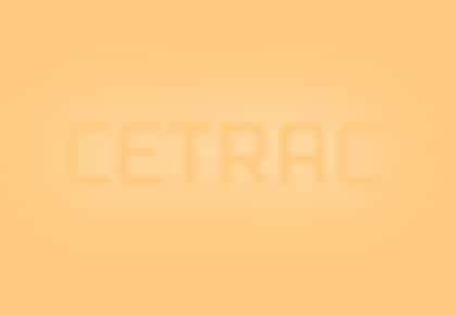 Layher Blitz Robustboden 3,07 x 0,32 m, gebraucht, zur Reparatur