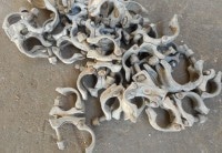 Drehkupplung 50 Stk. systemfrei auf geruest.com kaufen